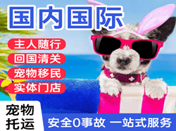 丹霞机场快运国际宠物托运 【国